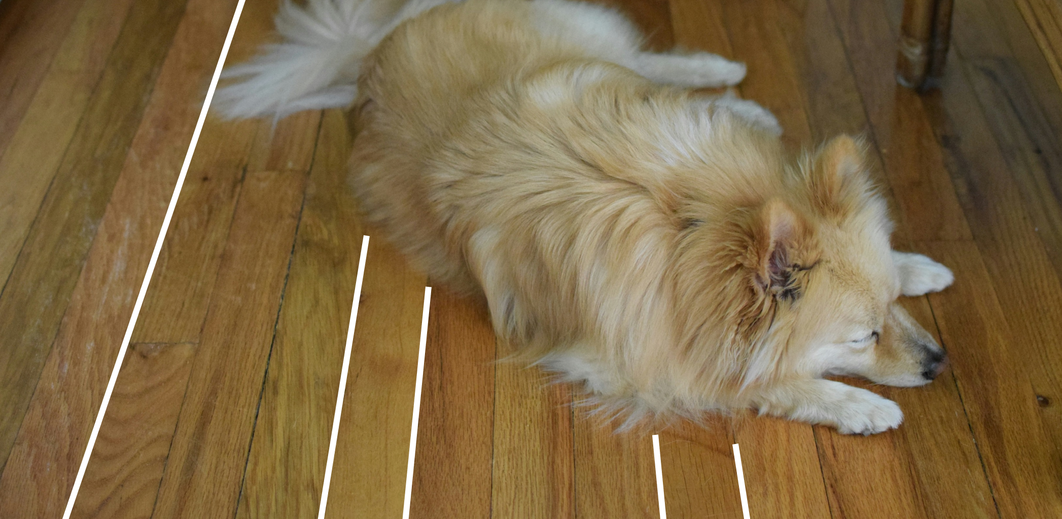 Линолеум: лучший вариант для современной кухни